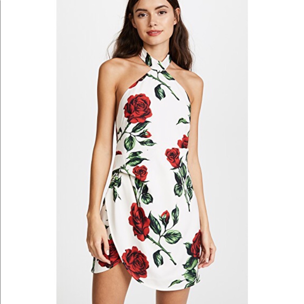 NWT Stylestalker Rose print dress